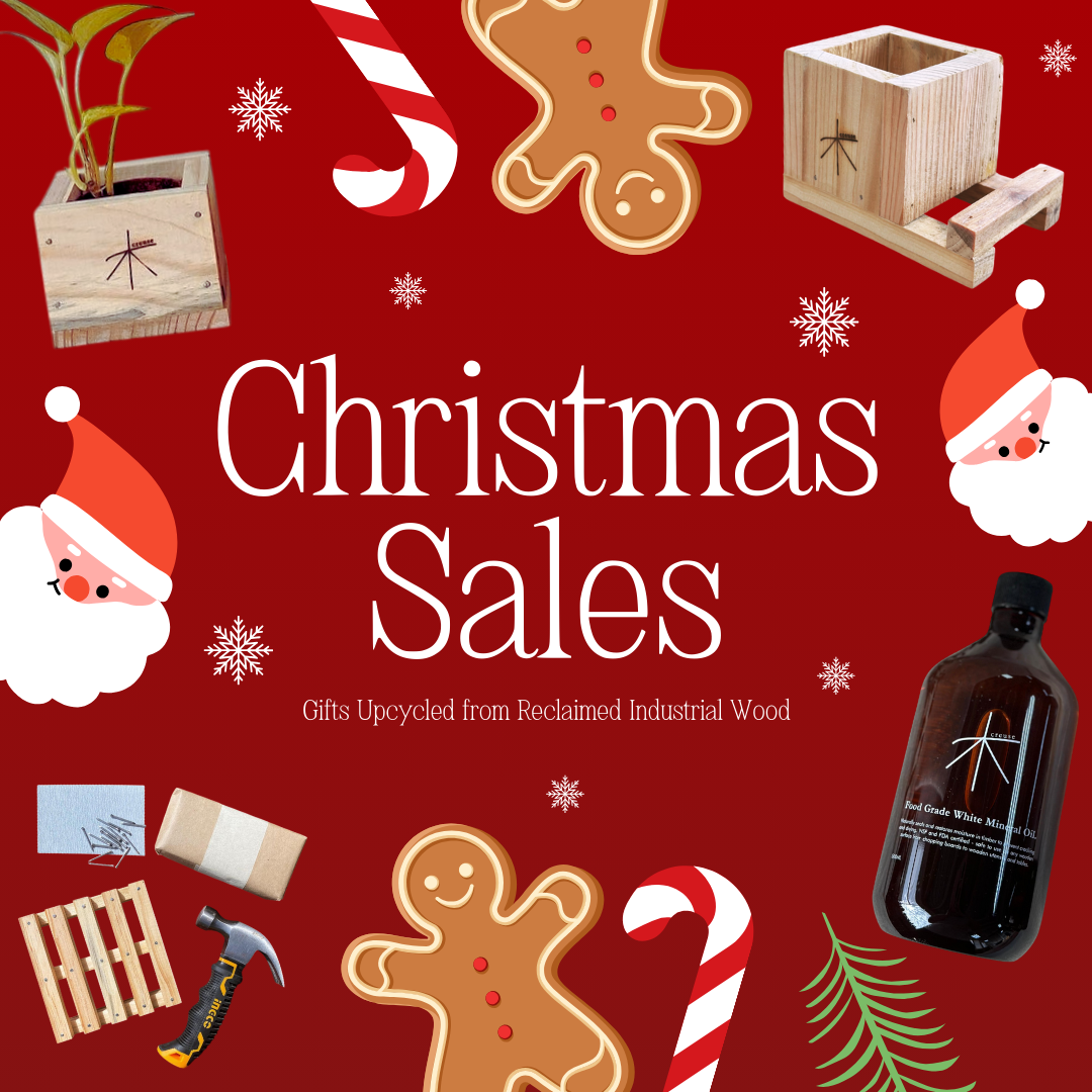 Planter & Phone Stand Bundle - $35