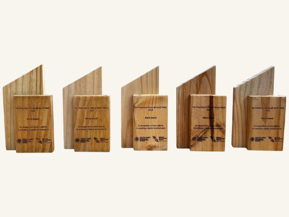 Upcycled Wooden Trophies